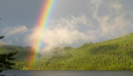 Perceptions – Beyond the Rainbow