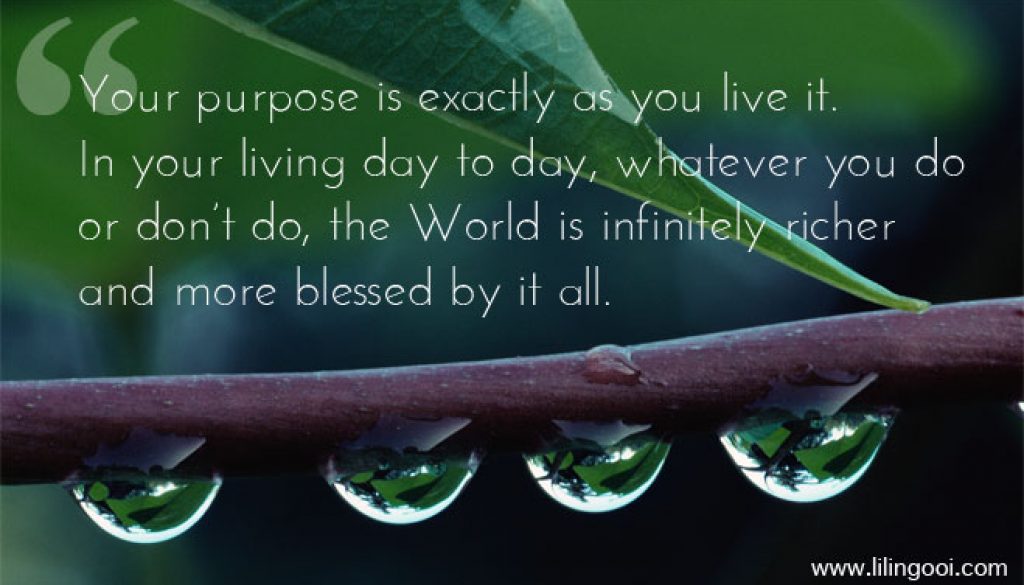 On Purpose On Purpose