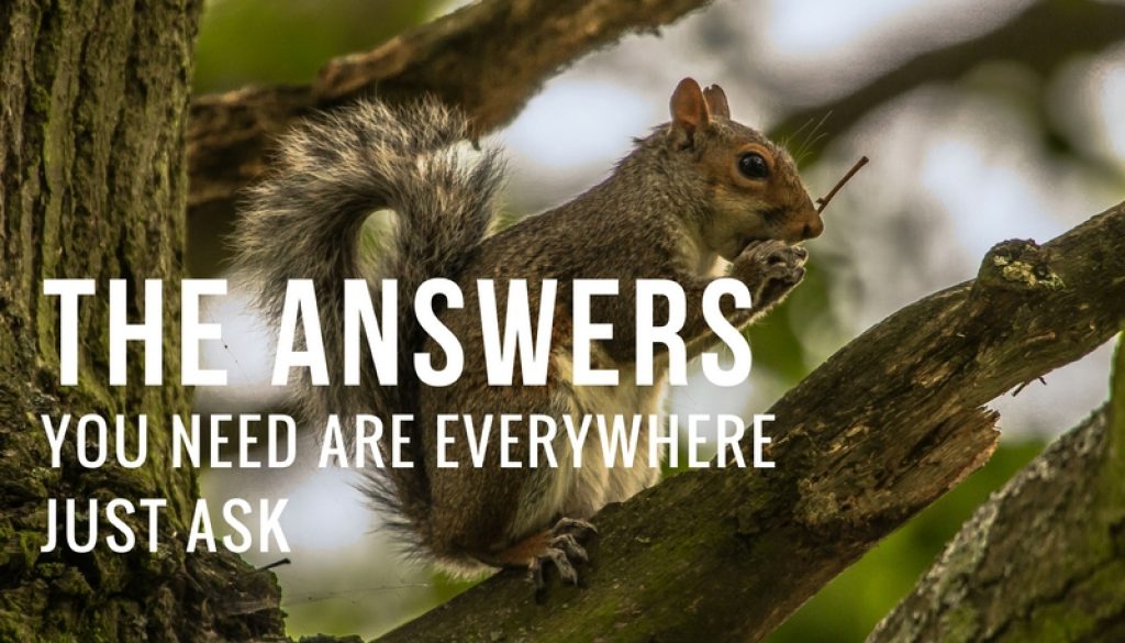 The Answers The Answers