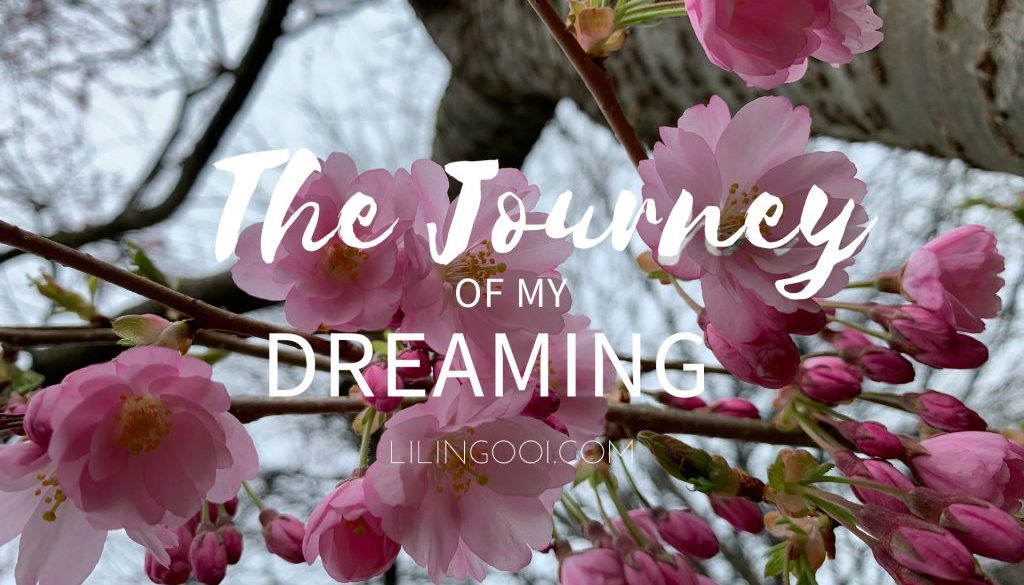 The Journey of My Dreaming The Journey of My Dreaming