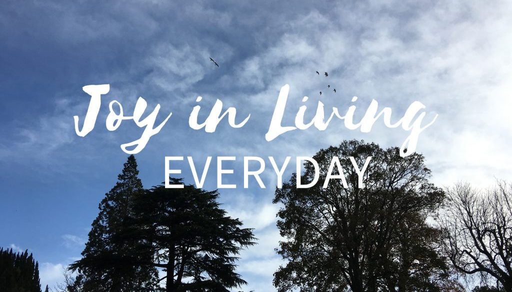 JoyLivingEveryday JoyLivingEveryday