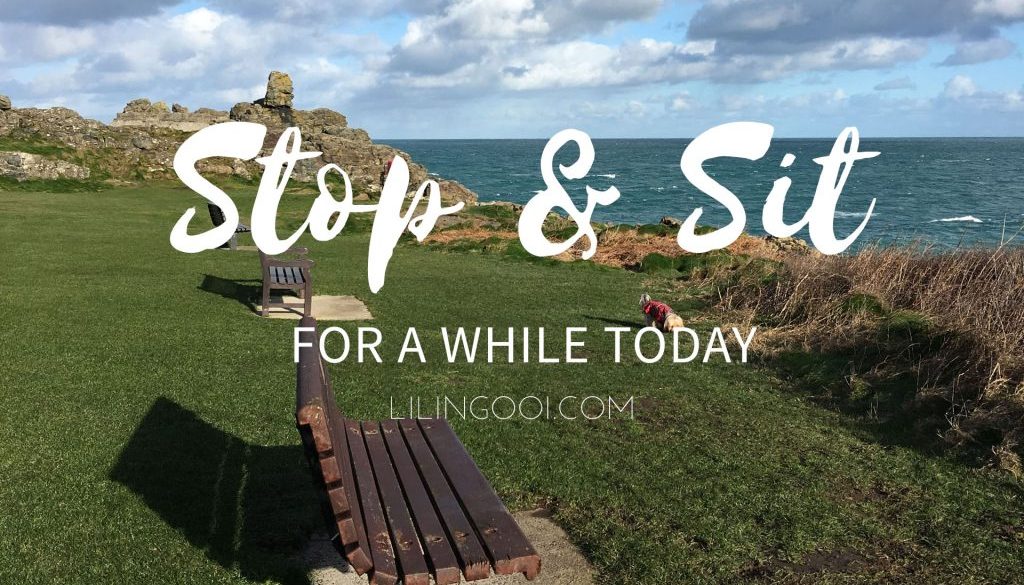 Stop and Sit for a while today