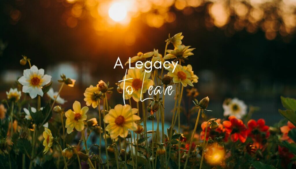 A Legacy to leave Text: A legacy to Leave on a background of flowers with a sunrise in the far background
