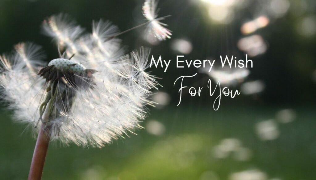 white text - My every wish for you against a background image of dandelion fluff blown away