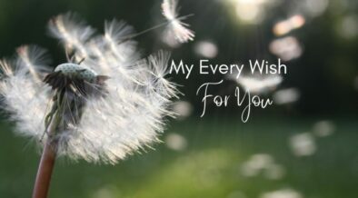 white text - My every wish for you against a background image of dandelion fluff blown away