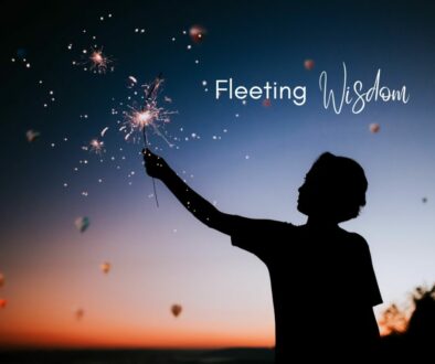Sillouhette of a person holding a sparkler against a sunset background; Words say Fleeting Wisdom